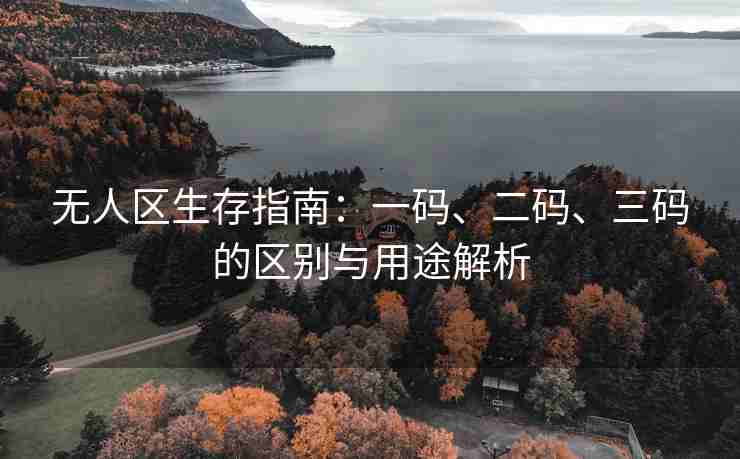 无人区生存指南：一码、二码、三码的区别与用途解析