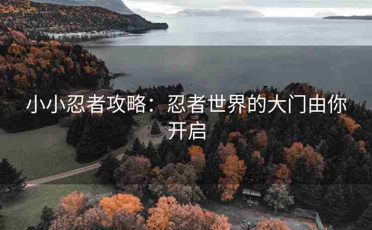 小小忍者攻略：忍者世界的大门由你开启